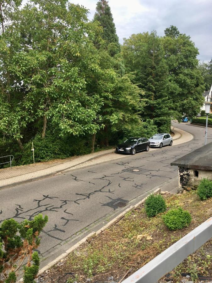 Relaxoase Koblenz Karthause Apartman Kültér fotó